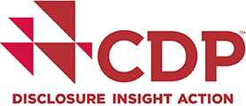CDP DISCLOSURE INSIGHT ACTION